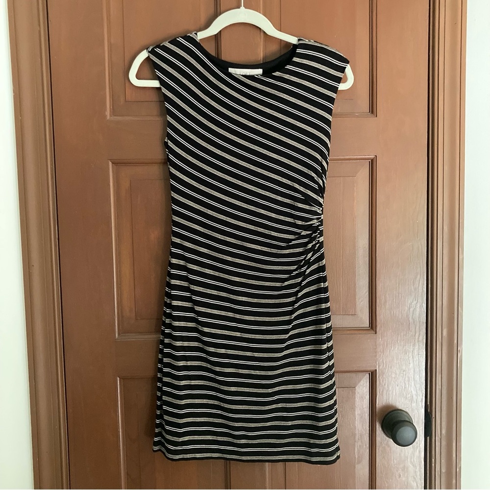 Loft Petites Shift Dress